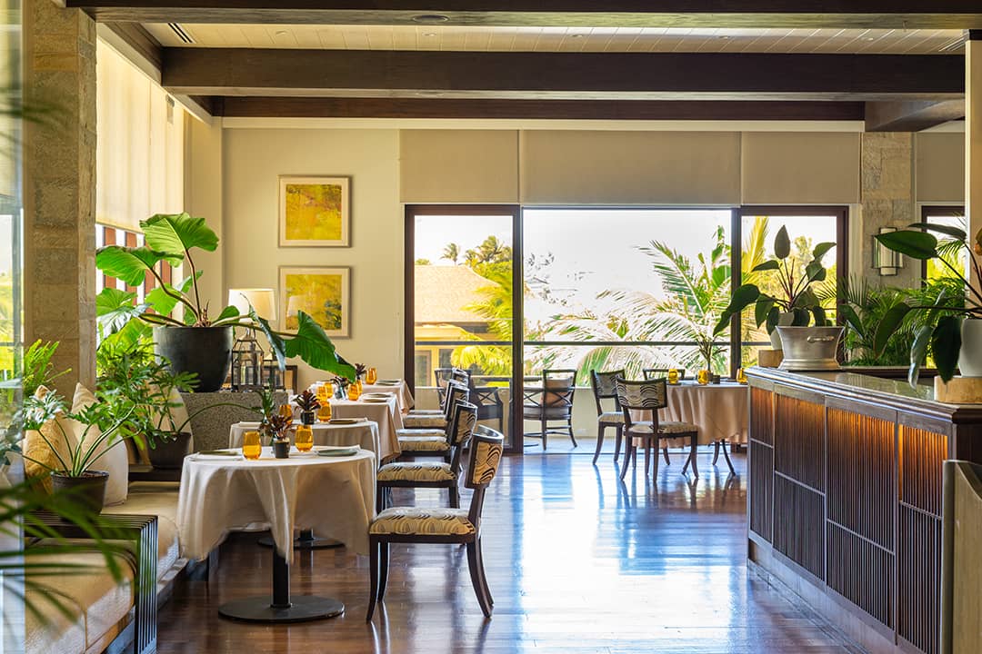 samira-Samira Indoor